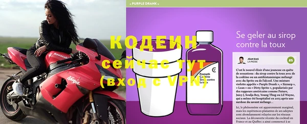 мяу мяу мука Ельня