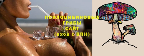 мяу мяу мука Ельня
