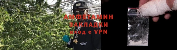 ПСИЛОЦИБИНОВЫЕ ГРИБЫ Елабуга