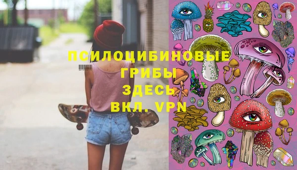 первитин Заводоуковск