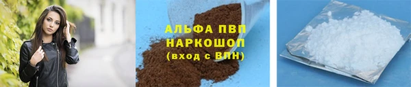 ПСИЛОЦИБИНОВЫЕ ГРИБЫ Елабуга