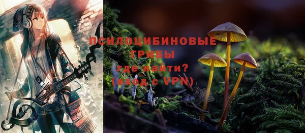 ПСИЛОЦИБИНОВЫЕ ГРИБЫ Елабуга