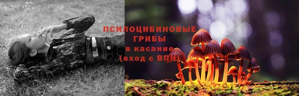 каннабис Елизово